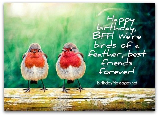 Happy Birthday BFF! We've Friend Birthday Wishes