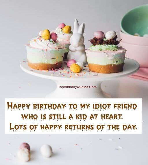 Happy Birthday To My Idiot Friend Birthday Wishes