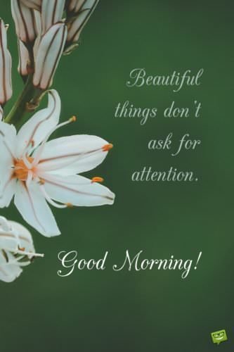 Beautiful Things Dont Ask For Good Morning