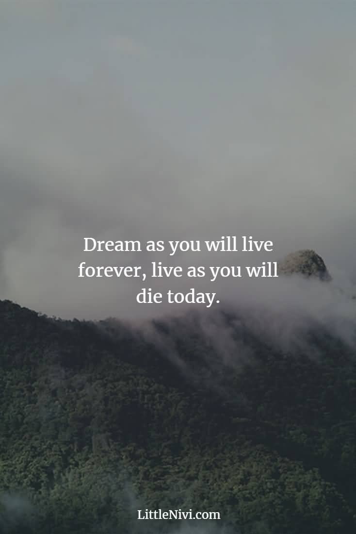 Dream As You Will Life Quotes