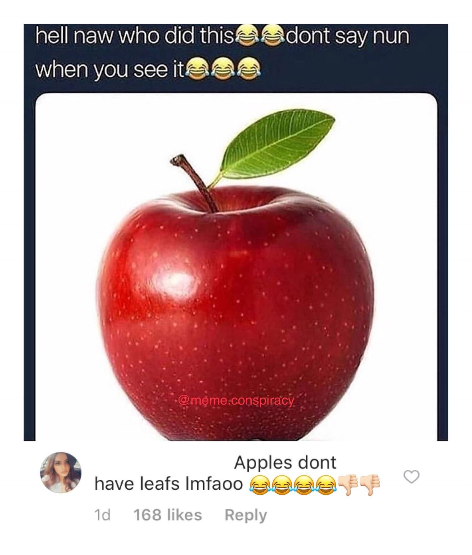 Hell Naw Who Did Apple Meme