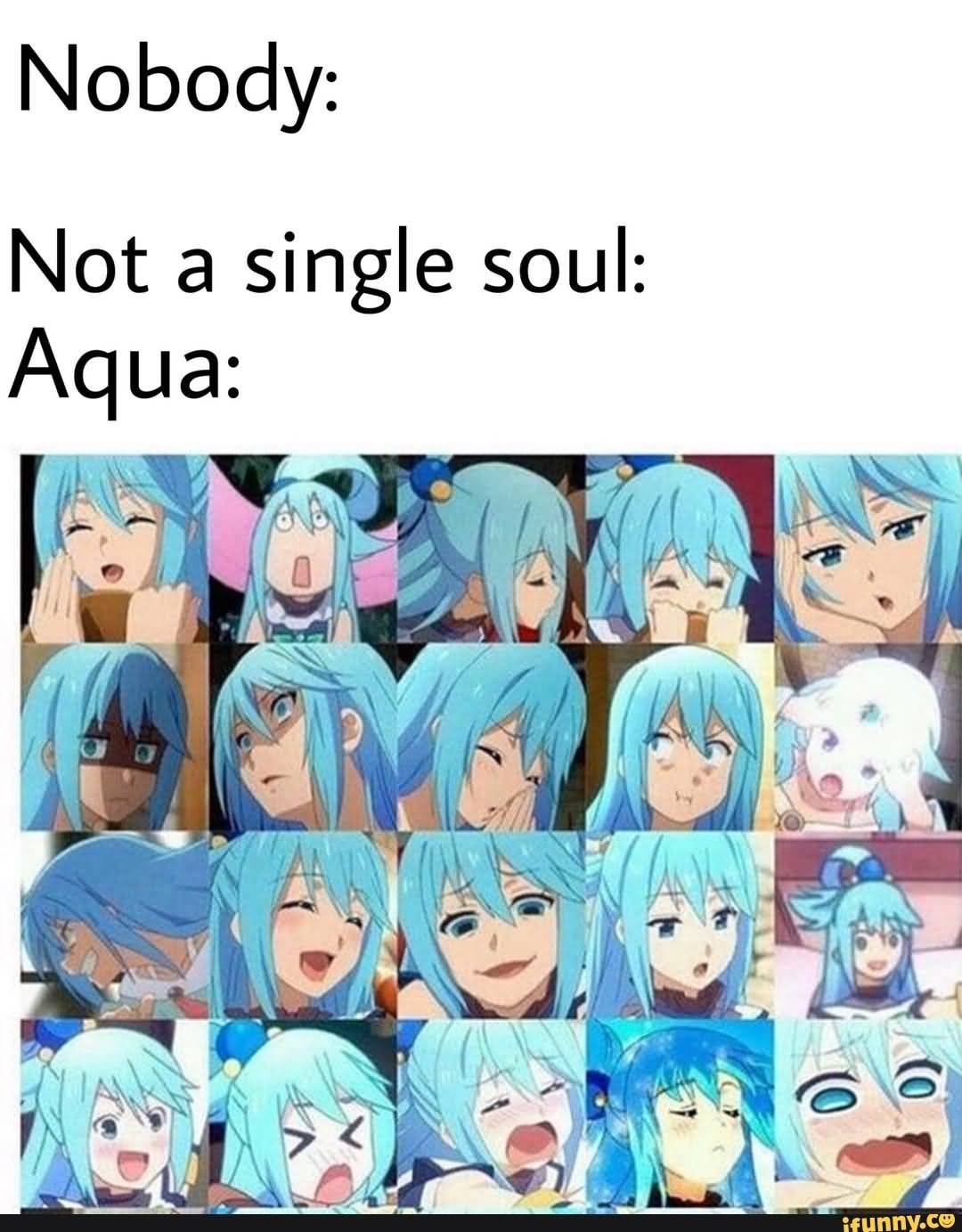 Not A Single Soul Aqua Meme
