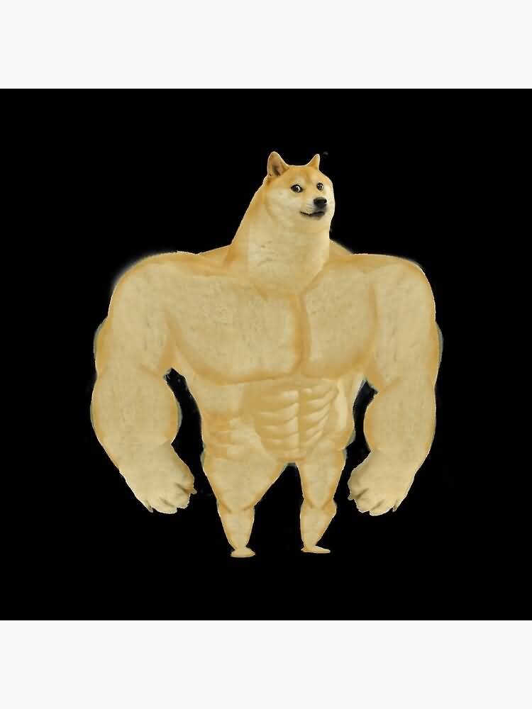 Doge Coin With Big Muscles Big Muscles Meme