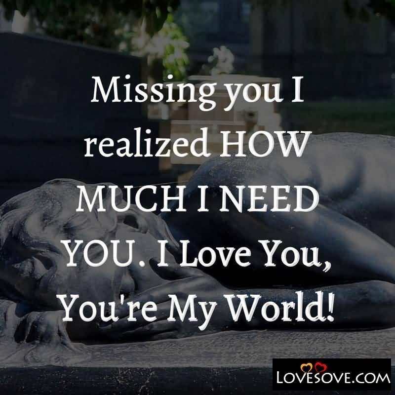 Missing You I Realized One Day You Will Know How Much I Love You Quotes