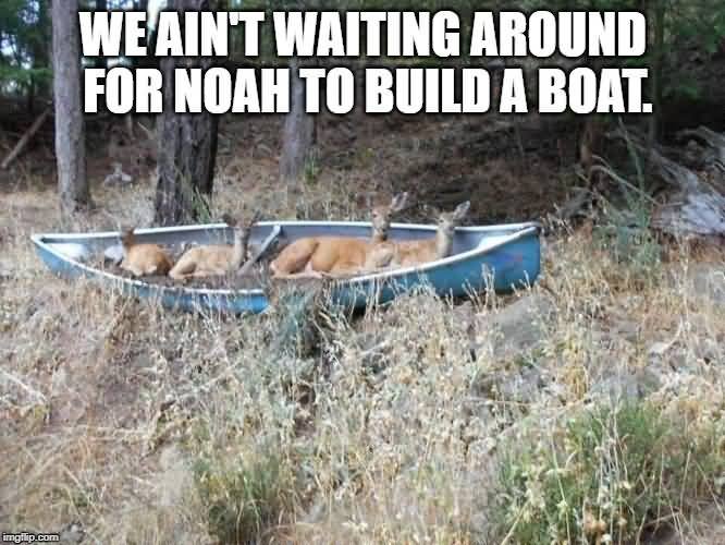 We Ain't Waiting Around Canoeing Meme