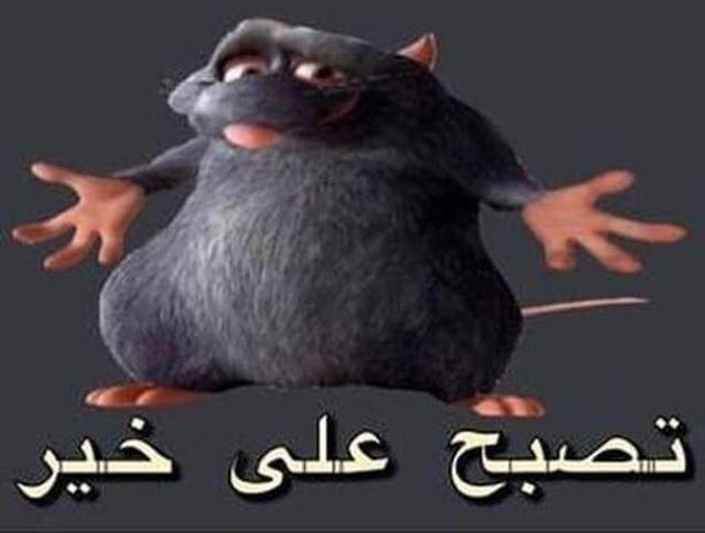Rat A Toe Arabic Meme