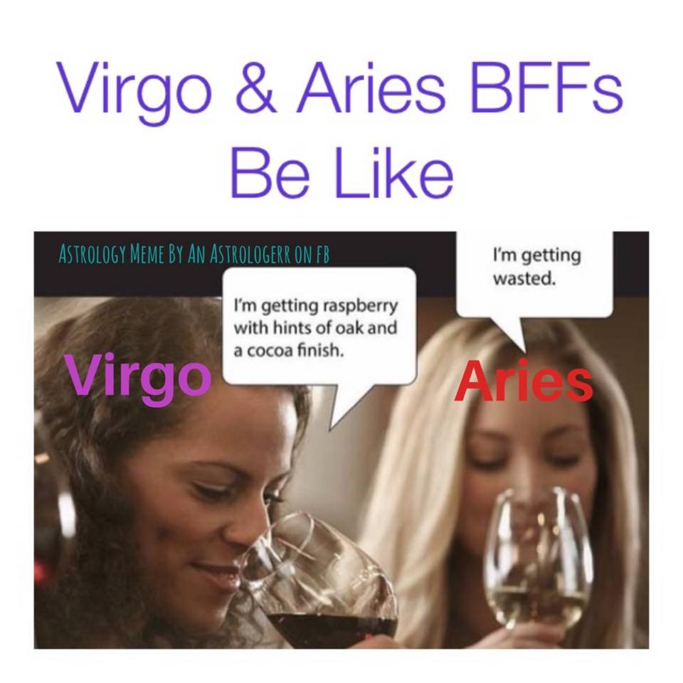 Virgo And Aries Bff Aries Meme